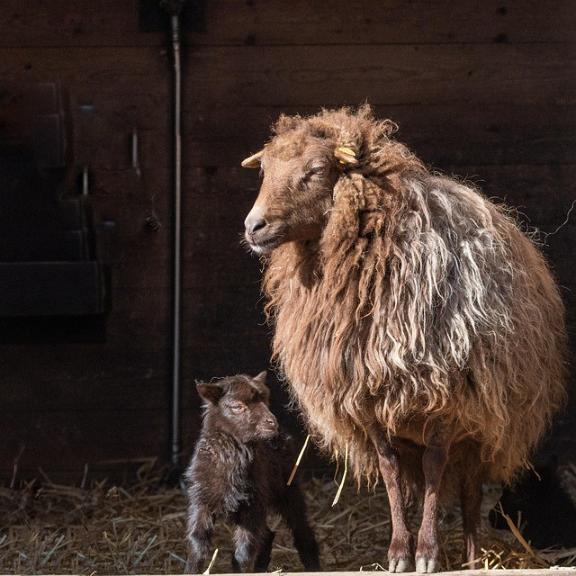 歩くと暑いです💦｜写メ日記｜内田　さえ｜鶯谷 人妻デリヘル 東京ローズマリー