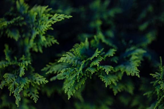 花粉が飛んで目が痒い👁️｜写メ日記｜内田　さえ｜鶯谷 人妻デリヘル 東京ローズマリー