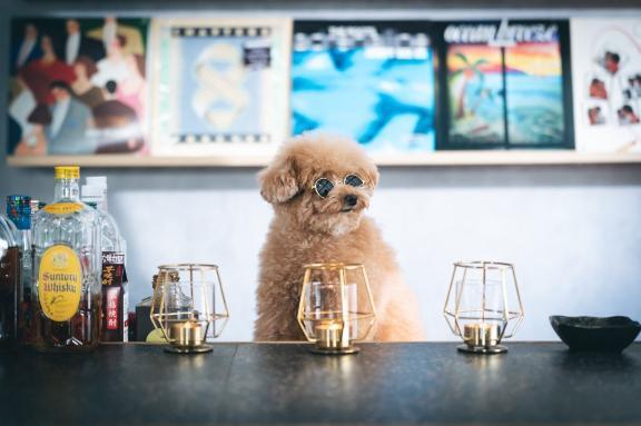 暖かいけど風が強い😣☀️｜写メ日記｜内田　さえ｜鶯谷 人妻デリヘル 東京ローズマリー