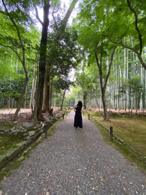 懐かしい〜｜写メ日記｜沢口真帆｜鶯谷 人妻デリヘル 東京ローズマリー