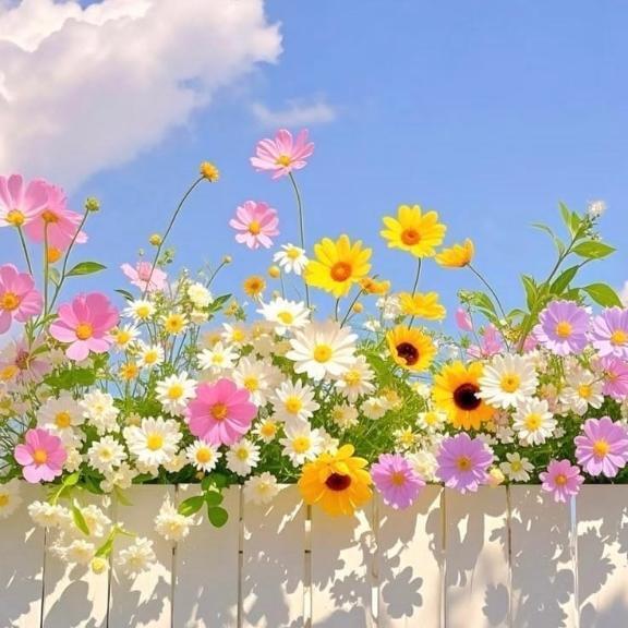 出勤｜写メ日記｜新山えみ｜鶯谷 人妻デリヘル 東京ローズマリー