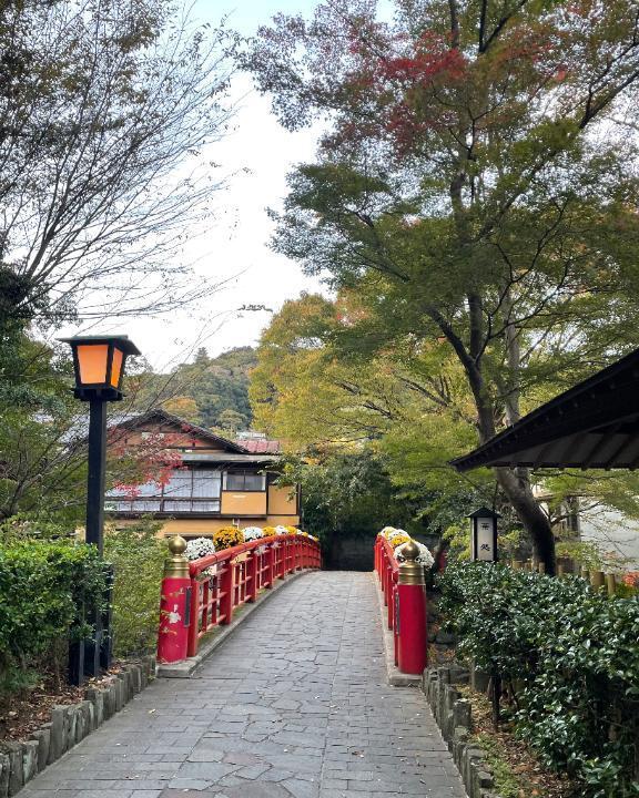 またまた｜写メ日記｜今井　真奈美｜鶯谷 人妻デリヘル 東京ローズマリー