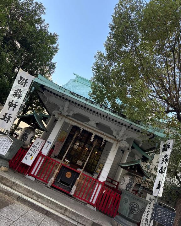 今日は｜写メ日記｜今井　真奈美｜鶯谷 人妻デリヘル 東京ローズマリー