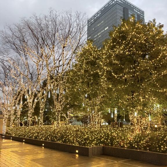 イルミネーション｜写メ日記｜今井　真奈美｜鶯谷 人妻デリヘル 東京ローズマリー