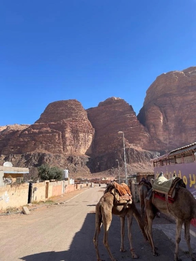 雷｜写メ日記｜岡田　由美｜鶯谷 人妻デリヘル 東京ローズマリー