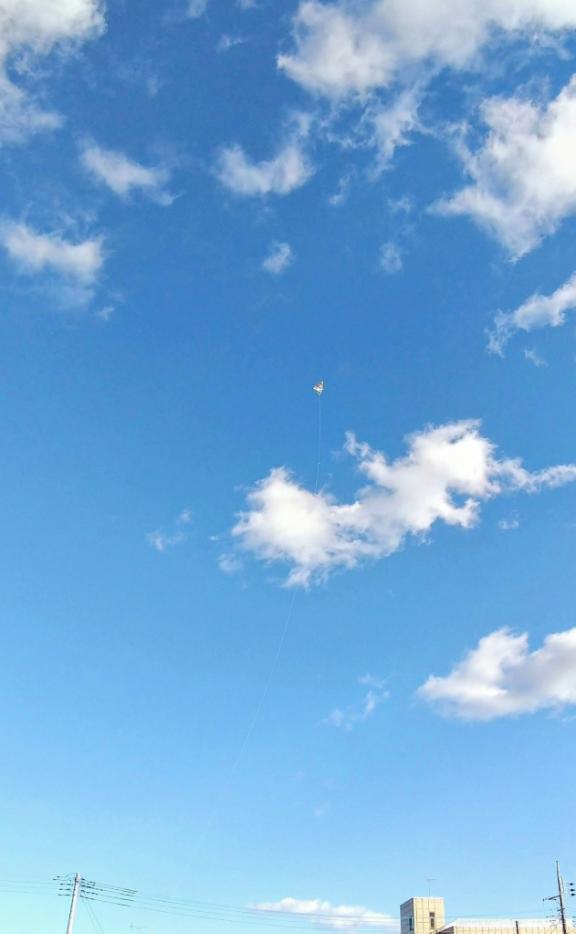 今年も仲良くして下さい✨｜写メ日記｜永坂　ひろみ｜鶯谷 人妻デリヘル 東京ローズマリー