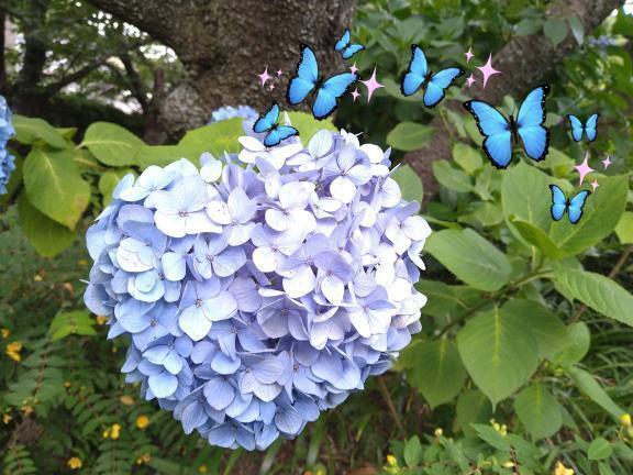 🍒お礼日記｜写メ日記｜かよ｜品川・五反田 人妻デリヘル One More 奥様 五反田店