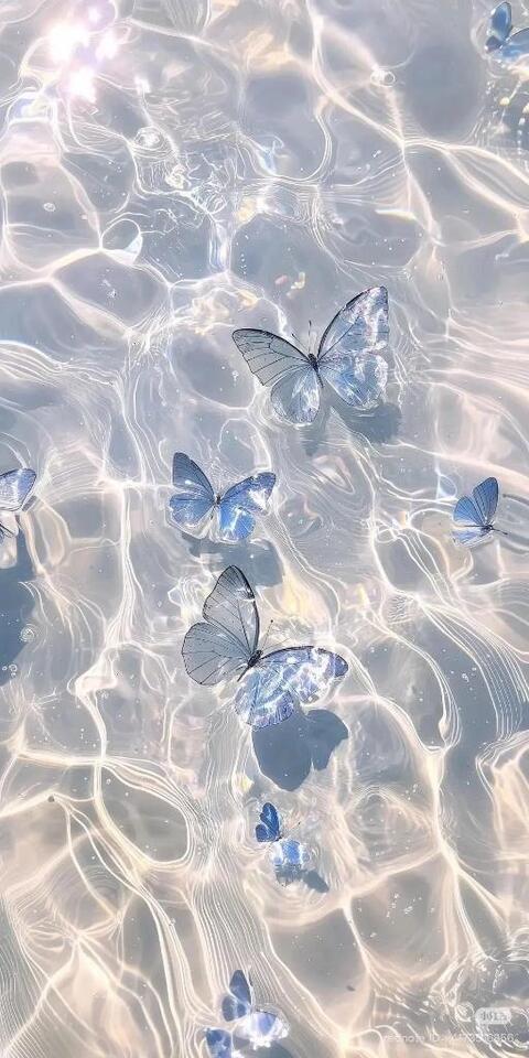 🦋ごめんなさい💧｜写メ日記｜まいか｜品川・五反田 人妻デリヘル One More 奥様 五反田店