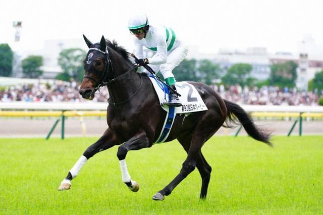 ダービー的中🏇🎯