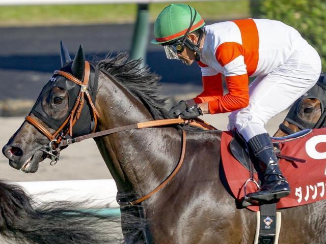 秋華賞🐴｜写メ日記｜ききょう｜鶯谷 人妻デリヘル しゅうかつ倶楽部
