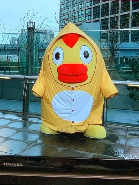ご新規様👨｜写メ日記｜ききょう｜鶯谷 人妻デリヘル しゅうかつ倶楽部