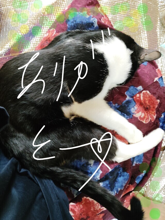 感謝🥳感謝