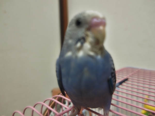 出勤しました～💡