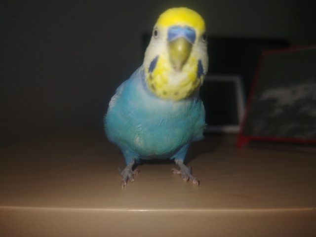 お久しぶりです｜写メ日記｜ゆずき｜鶯谷 人妻デリヘル しゅうかつ倶楽部