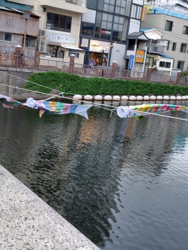 こんばんは❣️明日明後日出勤します｜写メ日記｜なおみ｜鶯谷 人妻デリヘル しゅうかつ倶楽部