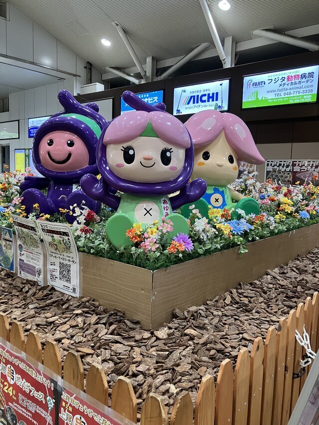 おはようございます｜写メ日記｜はるか｜鶯谷 人妻デリヘル しゅうかつ倶楽部