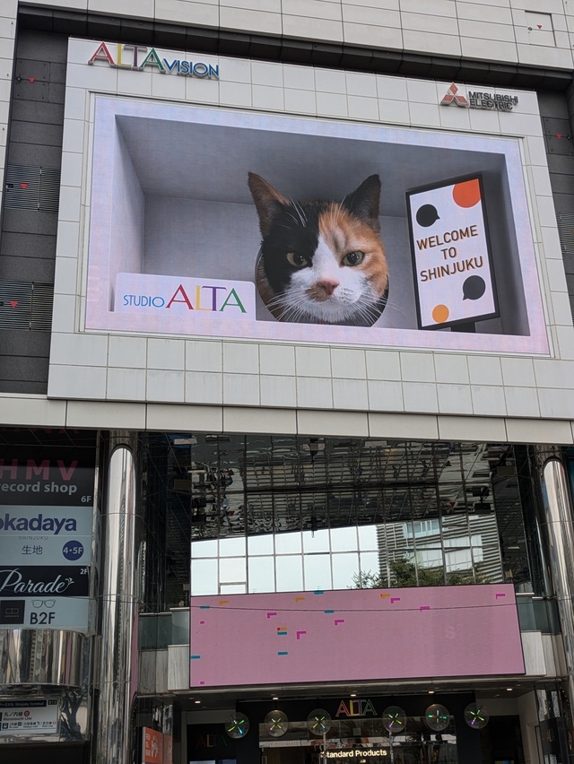 ゆったりまったりのんびりコースのご予約さま💧💧💧｜写メ日記｜はな｜鶯谷 人妻デリヘル しゅうかつ倶楽部