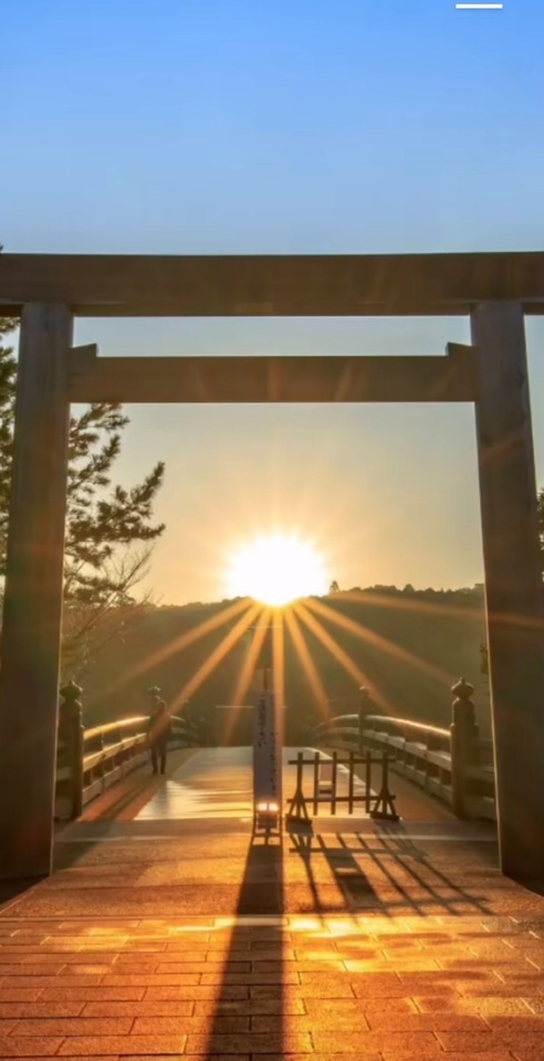 こんにちは✨✨｜写メ日記｜めい｜鶯谷 人妻デリヘル しゅうかつ倶楽部