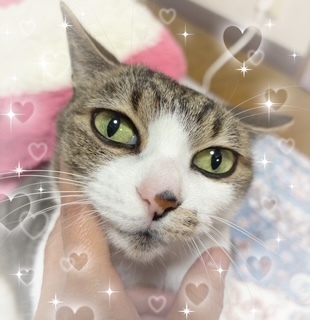 こんばんわ🌙｜写メ日記｜めい｜鶯谷 人妻デリヘル しゅうかつ倶楽部