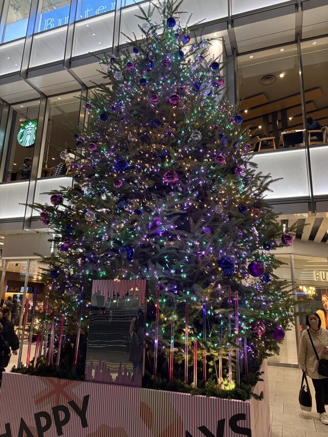 イルミネーション　綺麗だよね