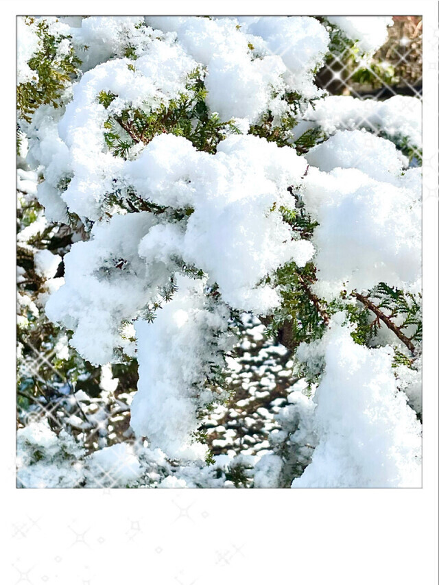 どんなお正月の過ごし方？｜写メ日記｜佐々木ほのか｜鶯谷 人妻デリヘル しゅうかつ倶楽部