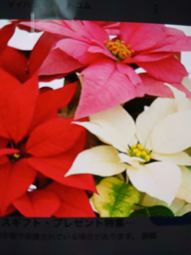 お早う御座います✴️