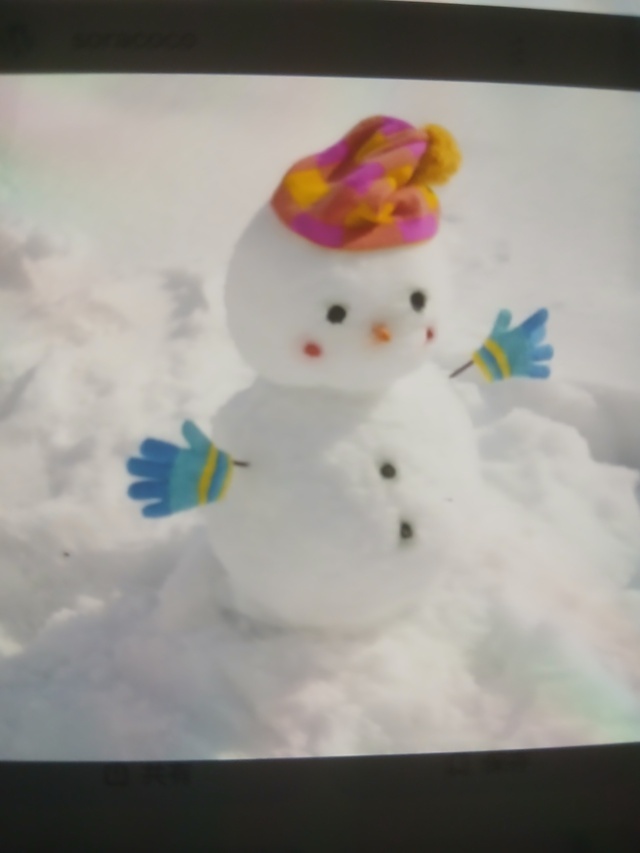 寒い((⛄))ですね❄