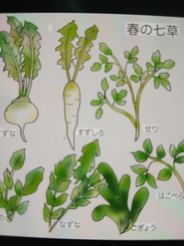 明日は…✨｜写メ日記｜みほ｜鶯谷 人妻デリヘル しゅうかつ倶楽部