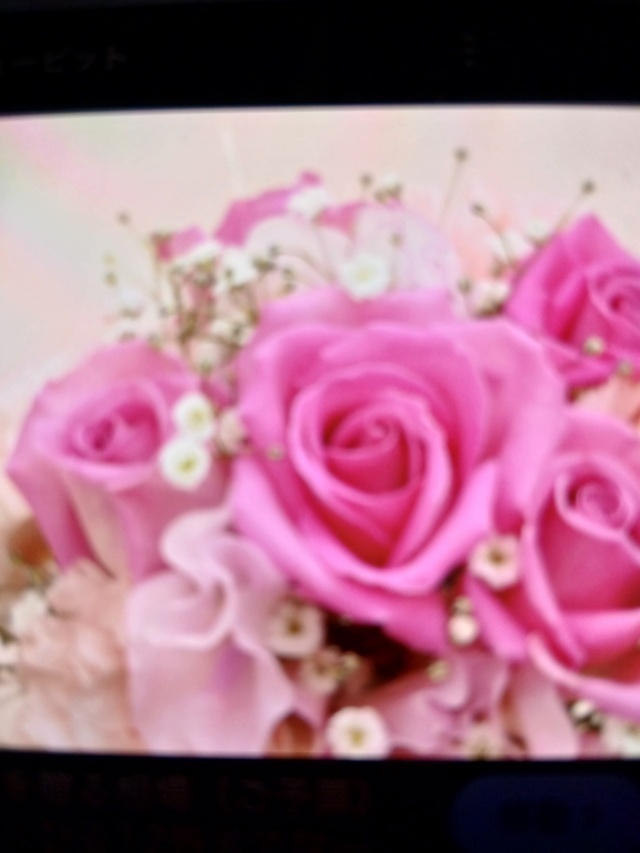 お早う御座います✴️｜写メ日記｜みほ｜鶯谷 人妻デリヘル しゅうかつ倶楽部