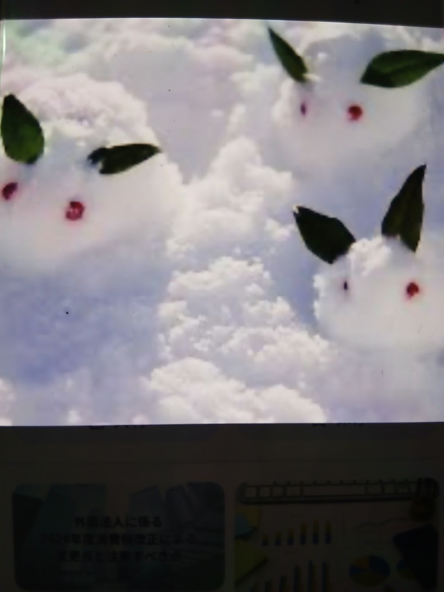 暖かい✨☀️✨｜写メ日記｜みほ｜鶯谷 人妻デリヘル しゅうかつ倶楽部