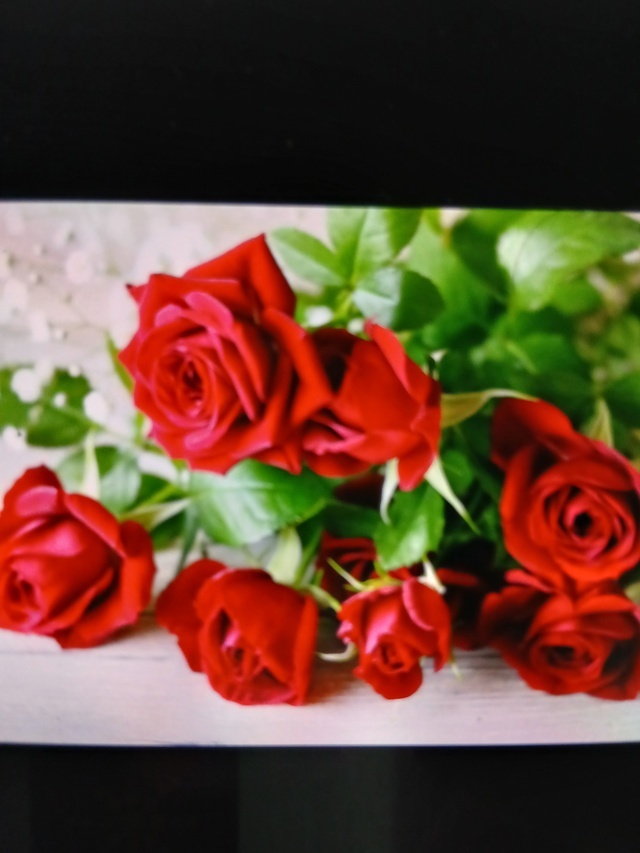 お早う御座います✴️｜写メ日記｜みほ｜鶯谷 人妻デリヘル しゅうかつ倶楽部