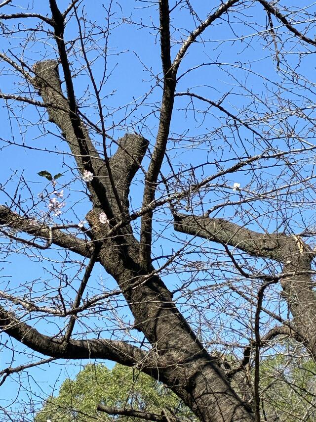 体調崩してしまったので１週間ほどお休み頂きます