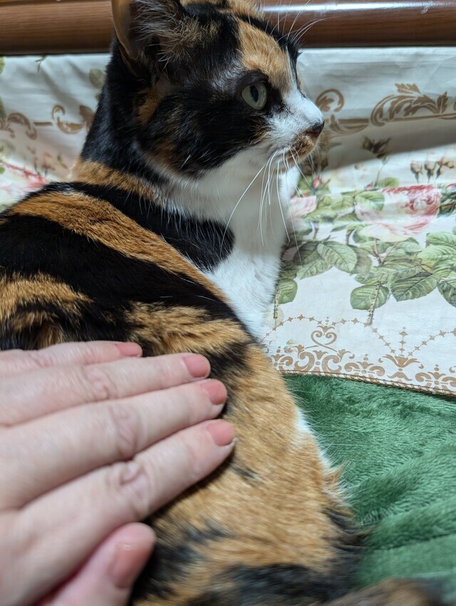 明日から初出勤します。｜写メ日記｜にこ｜鶯谷 人妻デリヘル しゅうかつ倶楽部