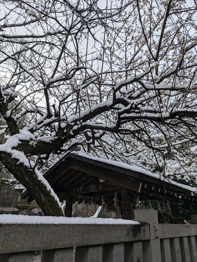 ゆきが、、、｜写メ日記｜にこ｜鶯谷 人妻デリヘル しゅうかつ倶楽部
