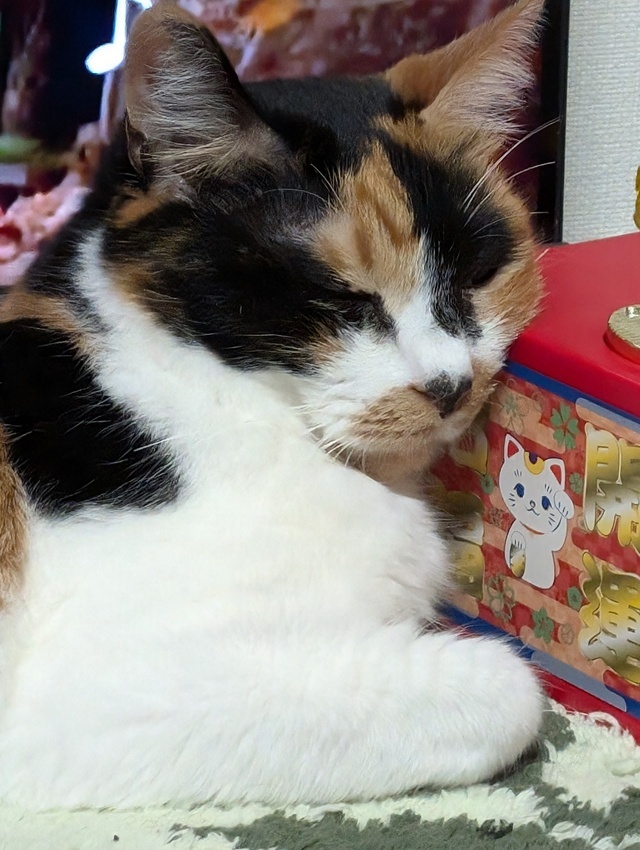 わたしのことを〜〜｜写メ日記｜にこ｜鶯谷 人妻デリヘル しゅうかつ倶楽部