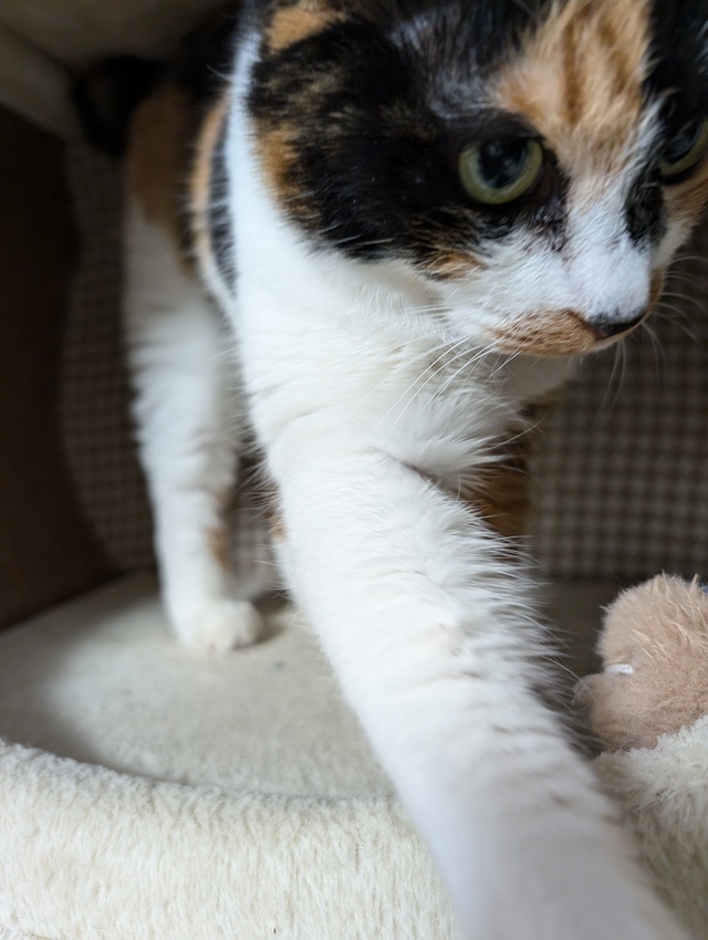 そろそろ❤やってみたい事に