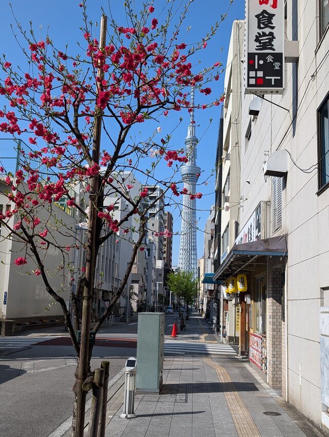 いつもとは❤ちがう事