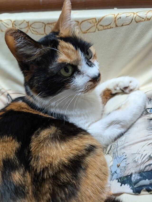 深呼吸していますか❤