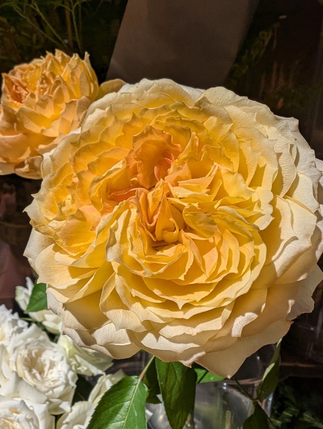 日常の事を🌹少し忘れて｜写メ日記｜にこ｜鶯谷 人妻デリヘル しゅうかつ倶楽部
