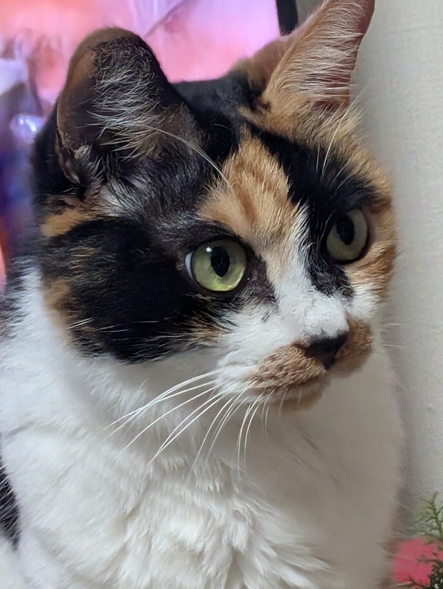 楽しい事が💖ある予感｜写メ日記｜にこ｜鶯谷 人妻デリヘル しゅうかつ倶楽部