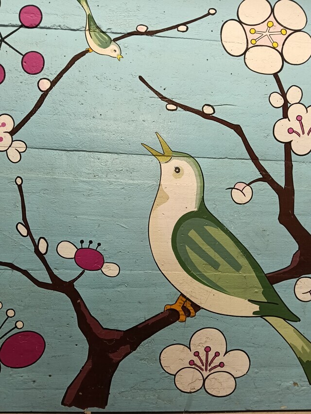 こんばんわ｜写メ日記｜みやこ｜鶯谷 人妻デリヘル しゅうかつ倶楽部
