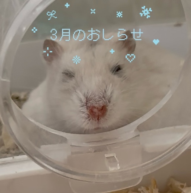 3月以降の出勤について