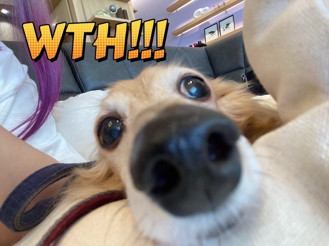 本日いつでもwww｜写メ日記｜めい｜鶯谷 ぽっちゃりデリヘル 僕のぽっちゃり伝説