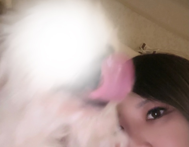 顔出しNG犬🐶