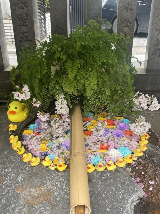 今日のお礼とわたしの推し嬢様｜写メ日記｜ゆうみ｜鶯谷 ぽっちゃりデリヘル 僕のぽっちゃり伝説