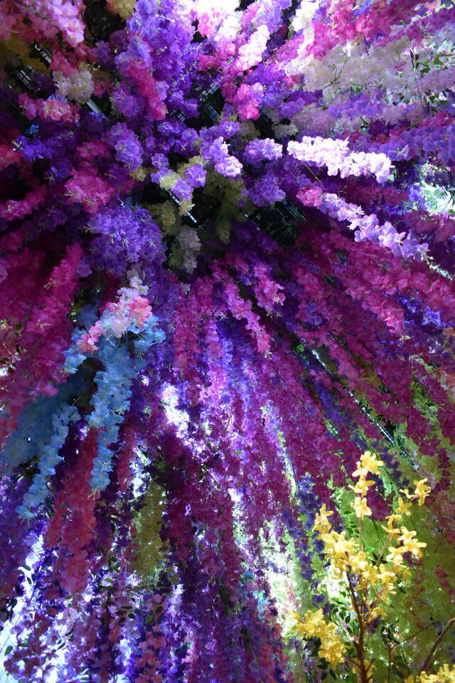 昨日は💦｜写メ日記｜ゆうき｜鶯谷 ぽっちゃりデリヘル 僕のぽっちゃり伝説