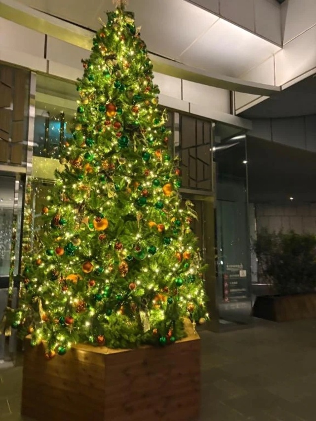 くりすます♥️|写メ日記|桜庭 ひより|渋谷 高級デリヘル RANUNCULUS(ラナンキュラス)