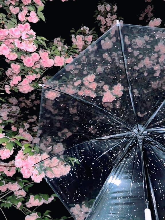 この間のお礼日記｜写メ日記｜木崎 りお｜渋谷 高級デリヘル RANUNCULUS（ラナンキュラス）