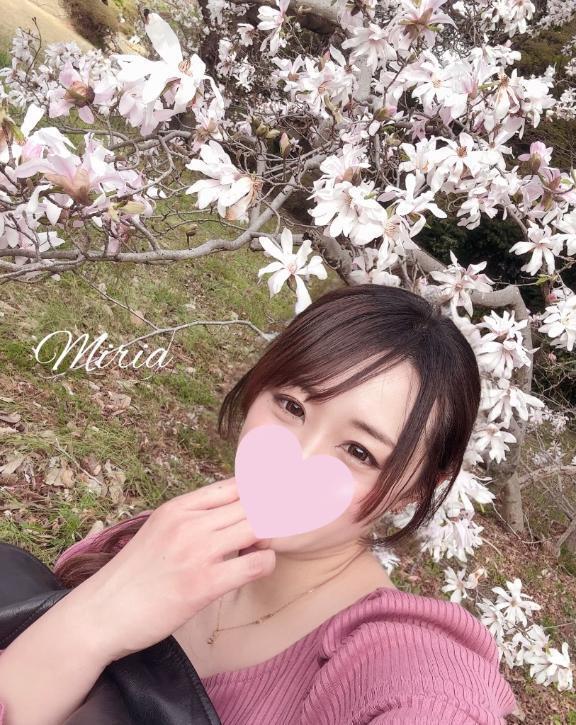 お花畑🌸｜写メ日記｜桜 美梨愛｜品川・五反田 一般デリヘル ELEGANCE