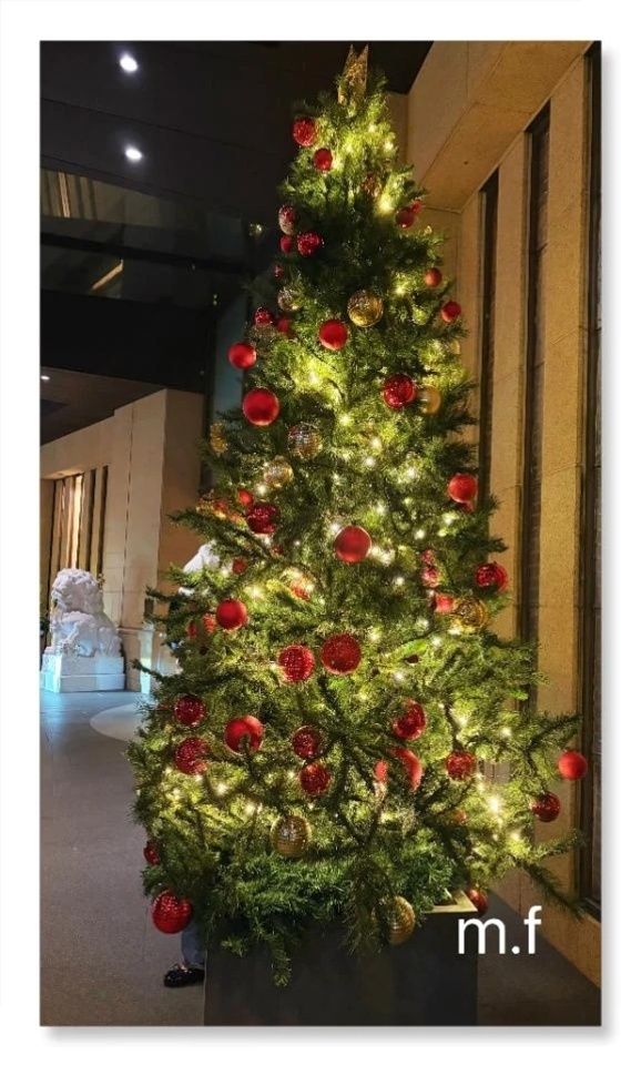 Xmas🎄｜写メ日記｜藤田 美月｜品川・五反田 一般デリヘル ELEGANCE